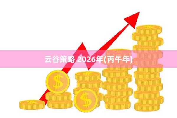 云谷策略 2026年(丙午年)