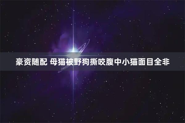 豪资随配 母猫被野狗撕咬腹中小猫面目全非