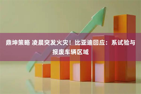 鼎坤策略 凌晨突发火灾！比亚迪回应：系试验与报废车辆区域