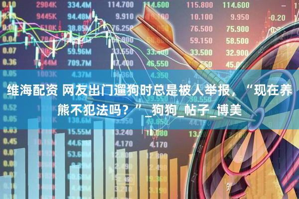 维海配资 网友出门遛狗时总是被人举报，“现在养熊不犯法吗？”_狗狗_帖子_博美
